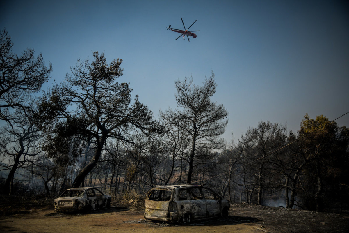 Τεράστια η οικολογική καταστροφή από τη φωτιά στην Εύβοια – 25.000 στρέμματα έγιναν στάχτη (βίντεο)