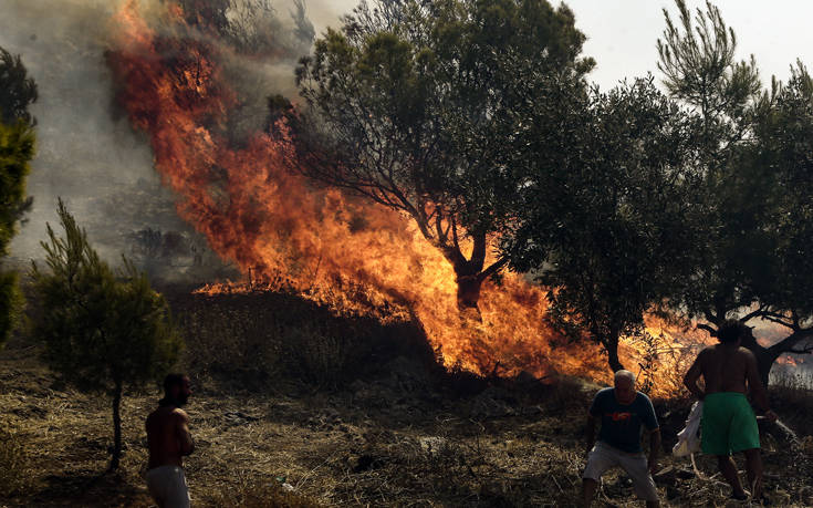 Πυρκαγιά σε δασική έκταση στον δήμο Αρχαίας Ολυμπίας