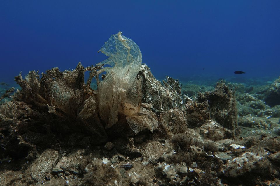 Πλαστικά «κοράλλια» – Η τρομακτική ανακάλυψη στον βυθό της Άνδρου