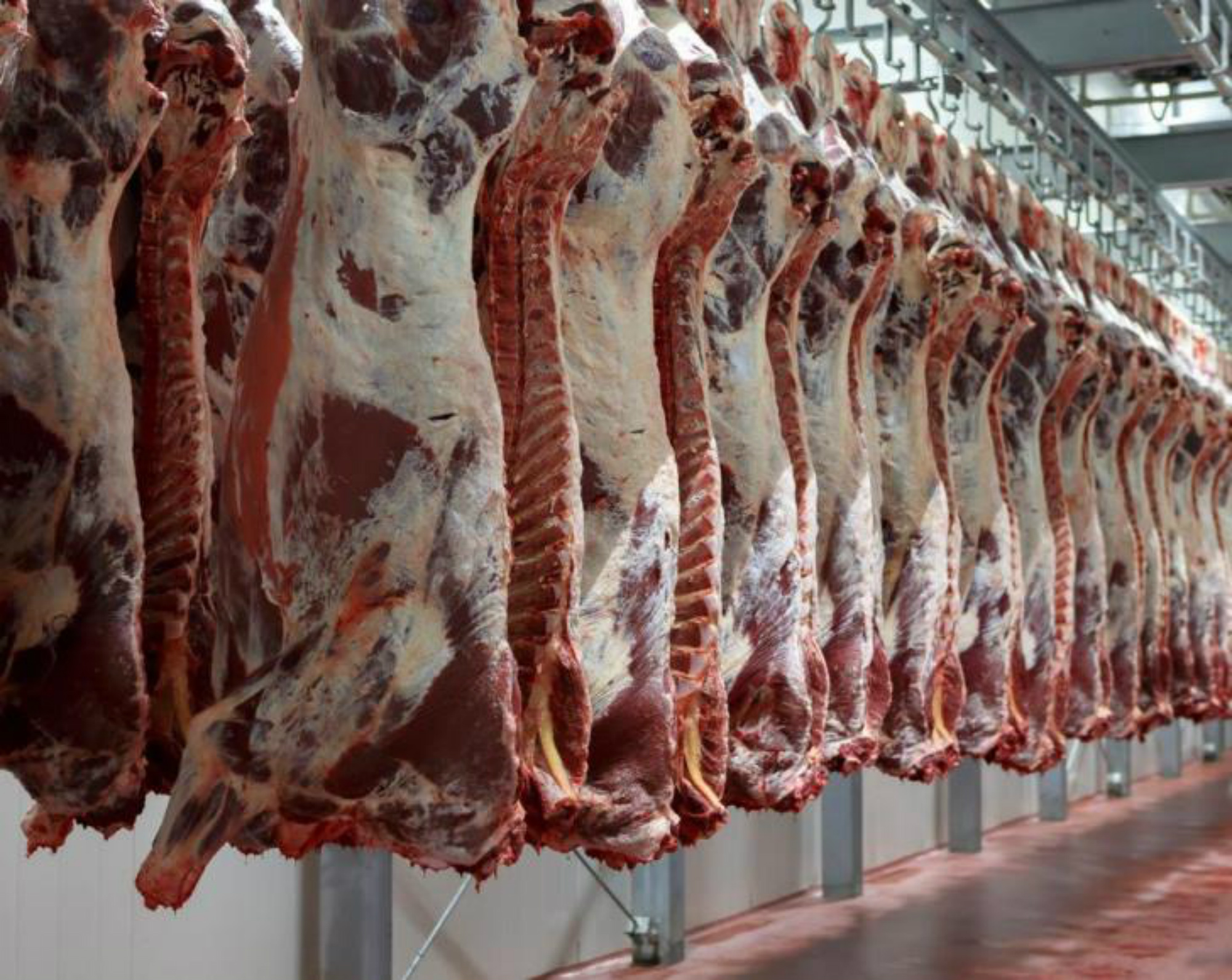 Πειραιάς: Κατασχέθηκαν κρέατα ακατάλληλα για κατανάλωση