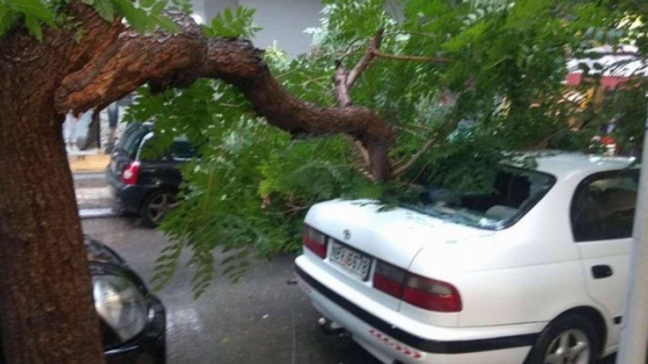 Η κακοκαιρία χτύπησε και τη Θεσσαλονίκη: Έπεσαν δέντρα – Ζημιές σε σταθμευμένα αυτοκίνητα