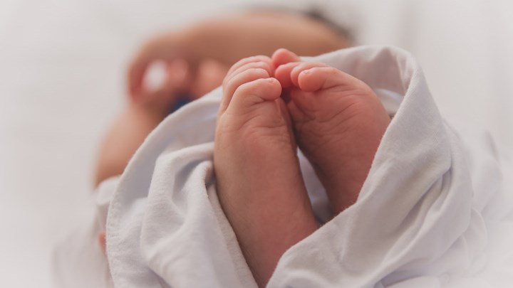 Φρίκη στο Διδυμότειχο: Μωρό μεταφέρθηκε στο νοσοκομείο με τραύματα από δάγκωμα ποντικιού