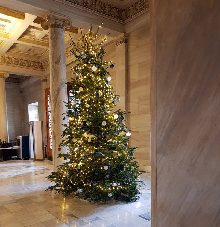 Χριστουγεννιάτικα δέντρα ξανατοποθετήθηκαν μετά από μια δεκαετία στη Βουλή