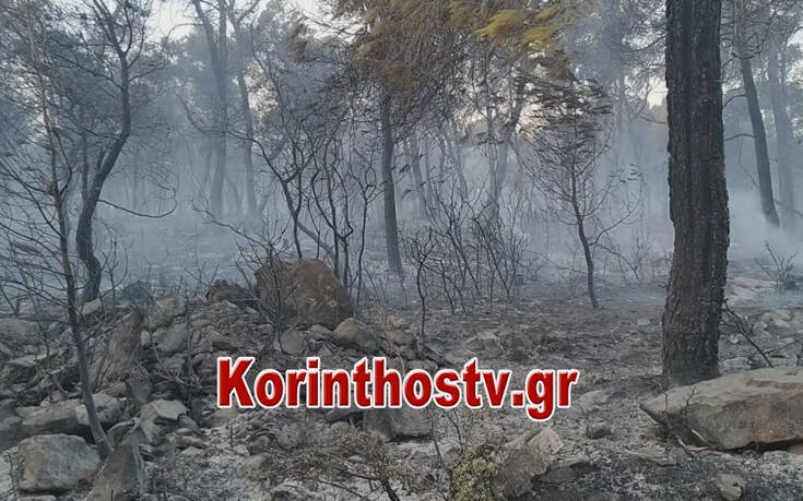 Φωτιά στο Σοφικό Κορινθίας: Πυροσβεστική και Αστυνομία ερευνούν τα αίτια της πυρκαγιάς