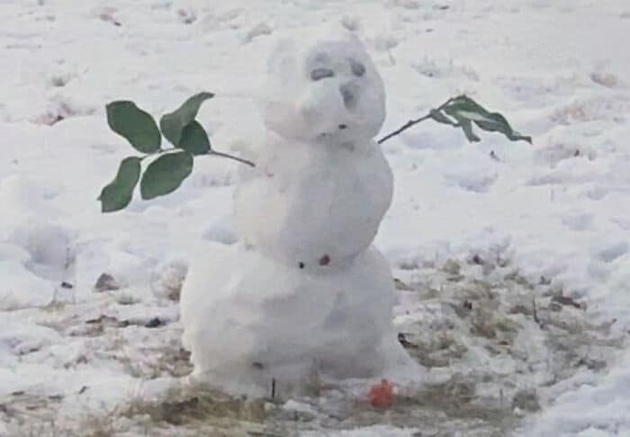 Λαγουδάκι τρώει τη μύτη ενός χιονάνθρωπου και γίνεται viral