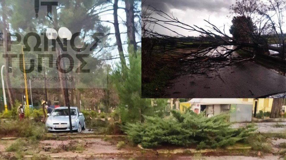 Δράμα: Ζημιές από τη βροχόπτωση – Έπεσαν δέντρα, «στο πόδι» η Πολιτική Προστασία