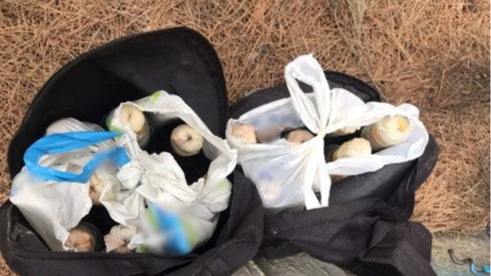 Πάτρα: Η Αστυνομία βρήκε 17 μολότοφ κρυμμένες στην περιοχή Δασύλλιο