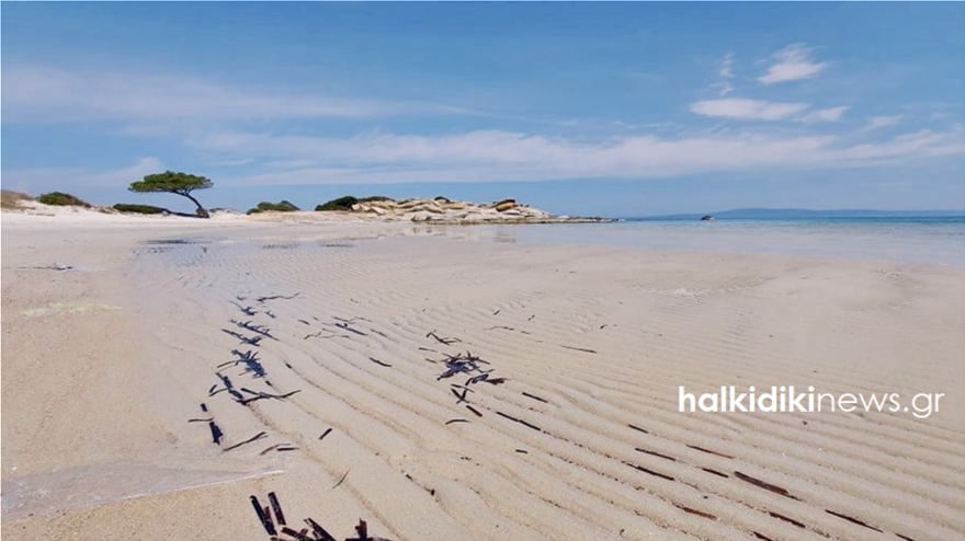 Απίστευτο θέαμα στη Χαλκιδική: «Εξαφανίστηκε» η θάλασσα στο Καρύδι – Φωτογραφίες