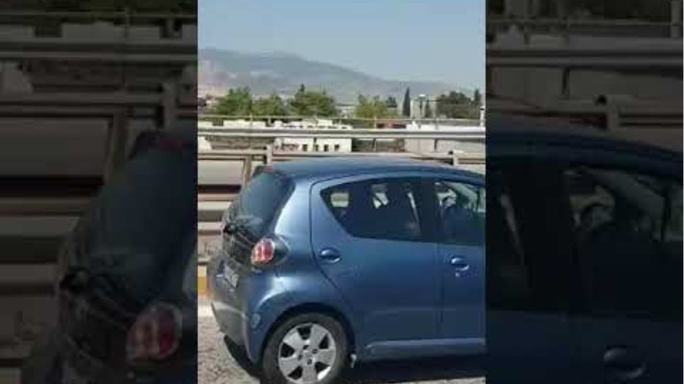 Δείτε βίντεο: Αγριογούρουνο βγήκε στην Εθνική Οδό και προκάλεσε σοβαρό τροχαίο