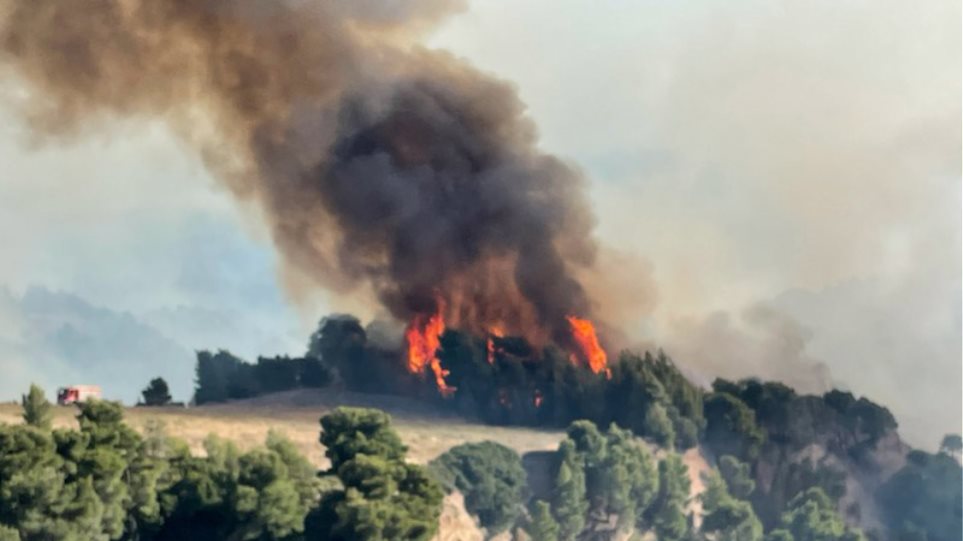 Meteo: Περί τα 71.300 στρέμματα έκαψε η μεγάλη πυρκαγιά στα Γεράνεια