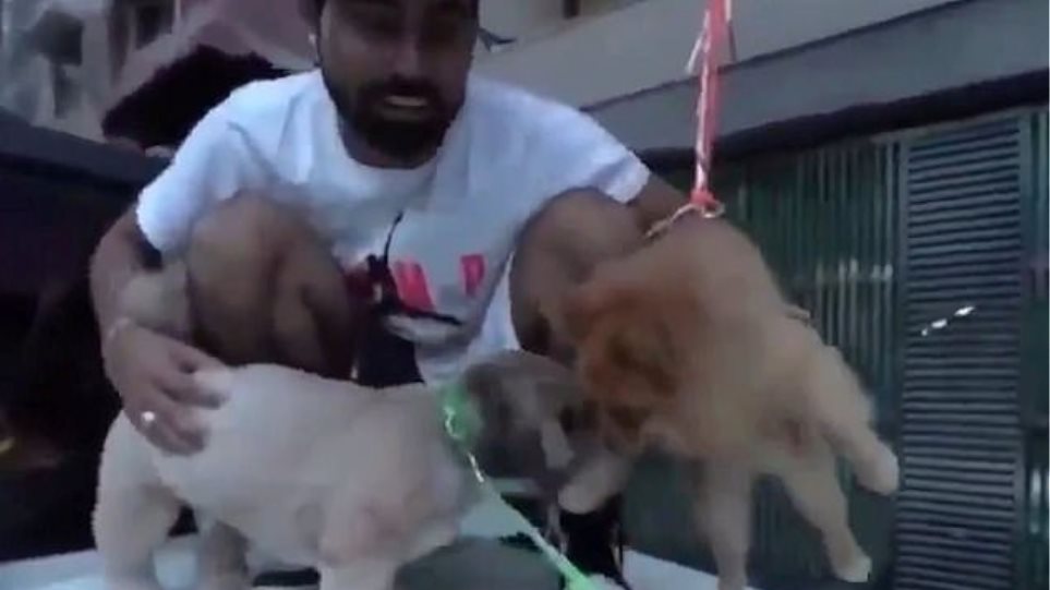 YouTuber έδεσε στον σκύλο του μπαλόνια με ήλιο για να πετάξει – Δείτε το βίντεο
