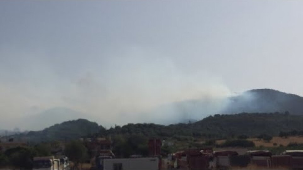 Βόνιτσα: Ολονύχτια μάχη με τις φλόγες – Στο νοσοκομείο πυροσβέστης με δύσπνοια – Εκκενώθηκε ο οικισμός Δρυμός