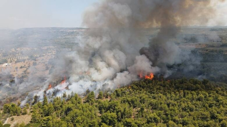 Πυροσβεστική: Στις 34 οι δασικές πυρκαγιές το προηγούμενο 24ωρο