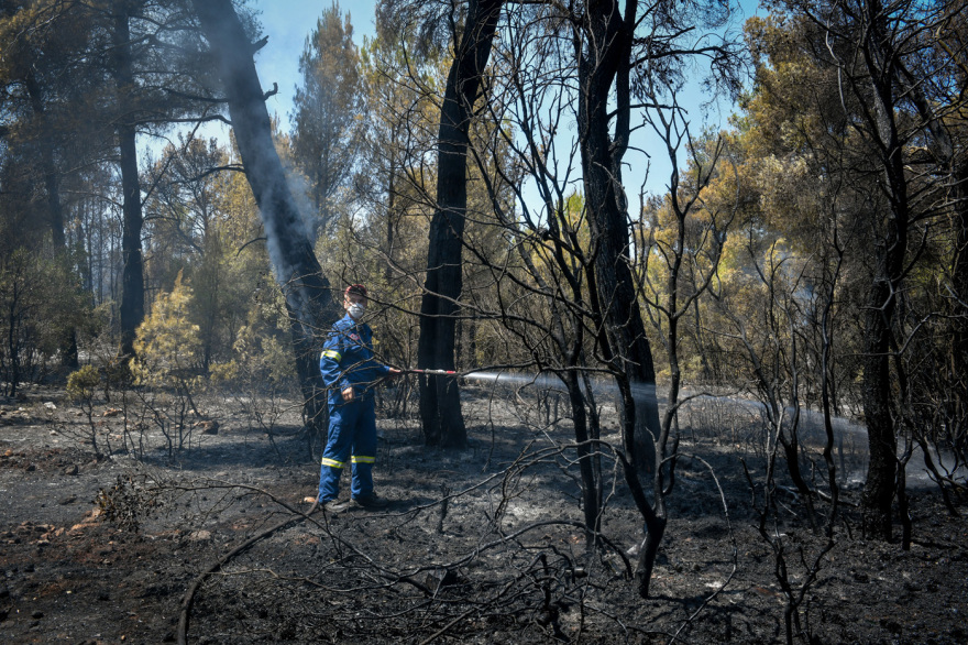 Πυρκαγιά στα Βίλια: Η καταστροφή όπως την κατέγραψε δορυφόρος – Στάχτη 75.000 στρέμματα