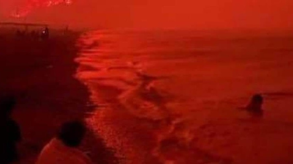 Φωτιά στην Εύβοια: Απίστευτη εικόνα με την παραλία της Αγίας Άννας «πνιγμένη» στο κόκκινο της φωτιάς