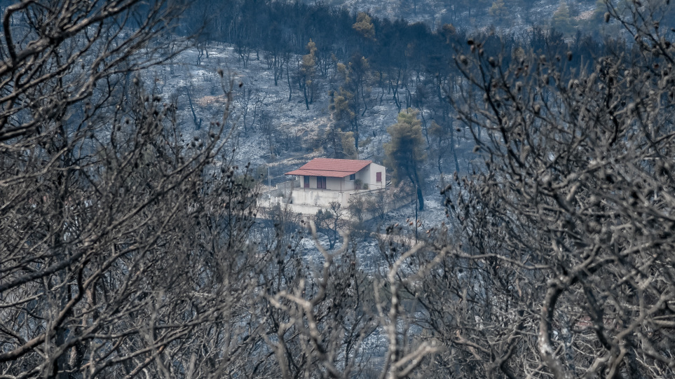 Βίλια: Καμένα κτίρια και δάσος – Δείτε τι άφησε πίσω της η πυρκαγιά (Φωτογραφίες)