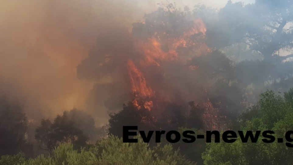 Σουφλί: Ολονύχτια μάχη με τις φλόγες στην Κοτρωνιά – Ενισχύθηκαν οι πυροσβεστικές δυνάμεις