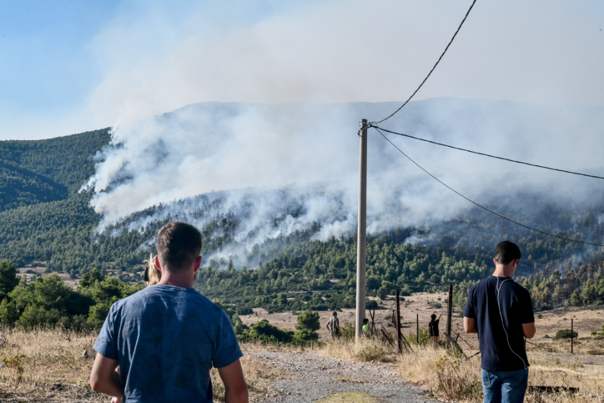 Φωτιές: «Έσπασε» το μεγάλο μέτωπο στα Βίλια – Μάχη με τις αναζωπυρώσεις στην Κερατέα