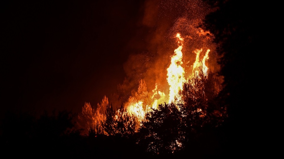 Φωτιά στη Φθιώτιδα: Ανεξέλεγκτη η φωτιά στο Λογγίτσι – Δύσκολη νύχτα λόγω των ανέμων