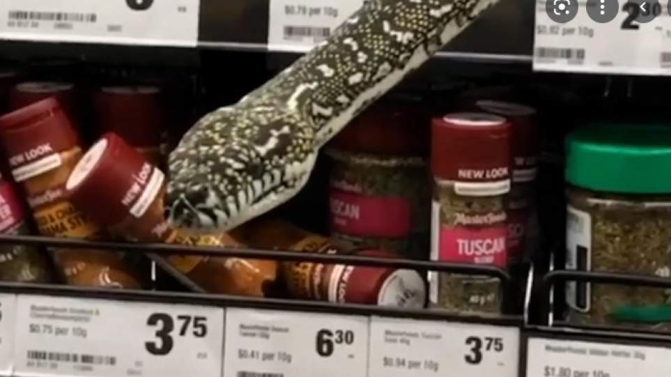 Φίδι «πετάχτηκε» μέσα από το ράφι και ξάφνιασε την πελάτισσα ενός σούπερ μάρκετ στο Σίδνεϊ – Δείτε βίντεο