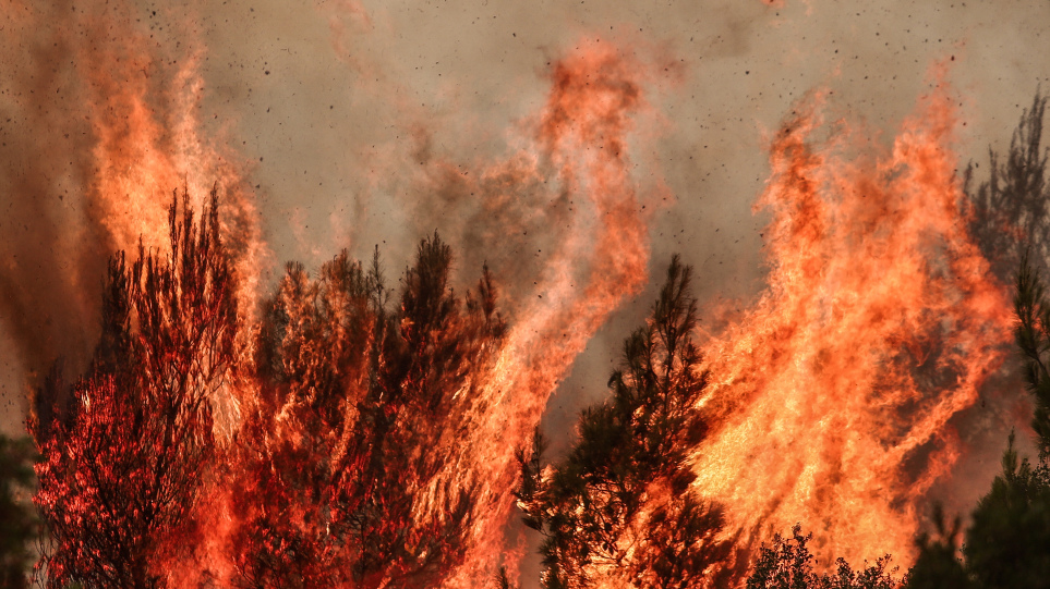 Σπάρτη: Προληπτική εκκένωση επτά κοινοτήτων λόγω της φωτιάς στην περιοχή Καστάνια στην Λακωνία