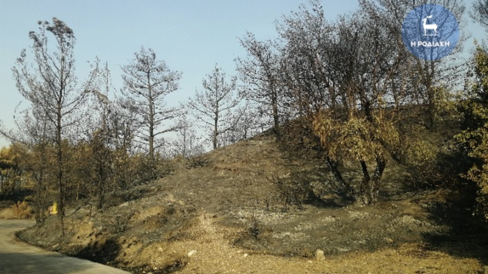 Φωτιές στην Ελλάδα – Καιρός: Αυξημένα μέτρα επιφυλακής στη Ρόδο – Κίνδυνος φωτιάς