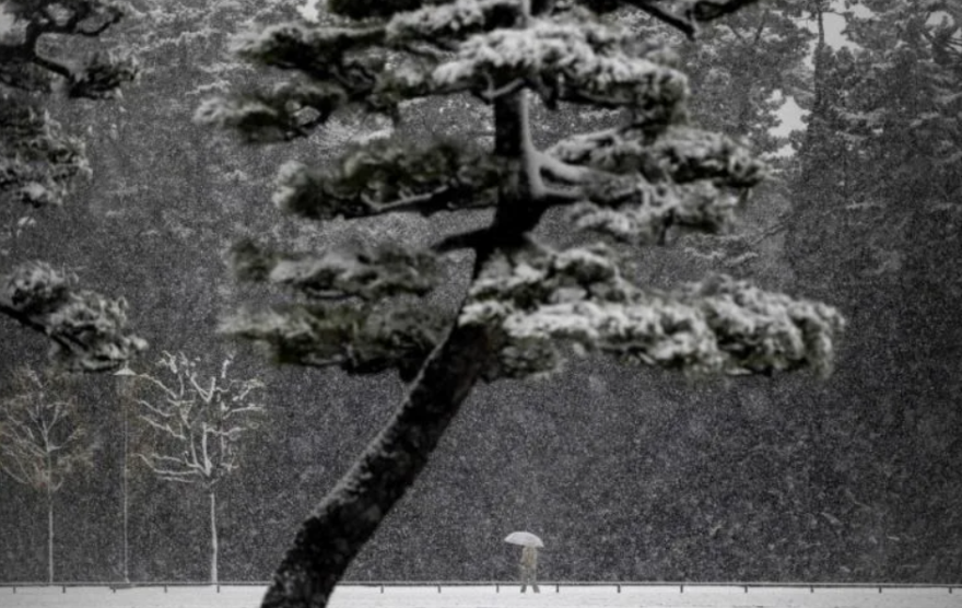 Ιαπωνία: Σπάνια σφοδρή χιονόπτωση πλήττει το Τόκιο, ακυρώθηκαν πτήσεις
