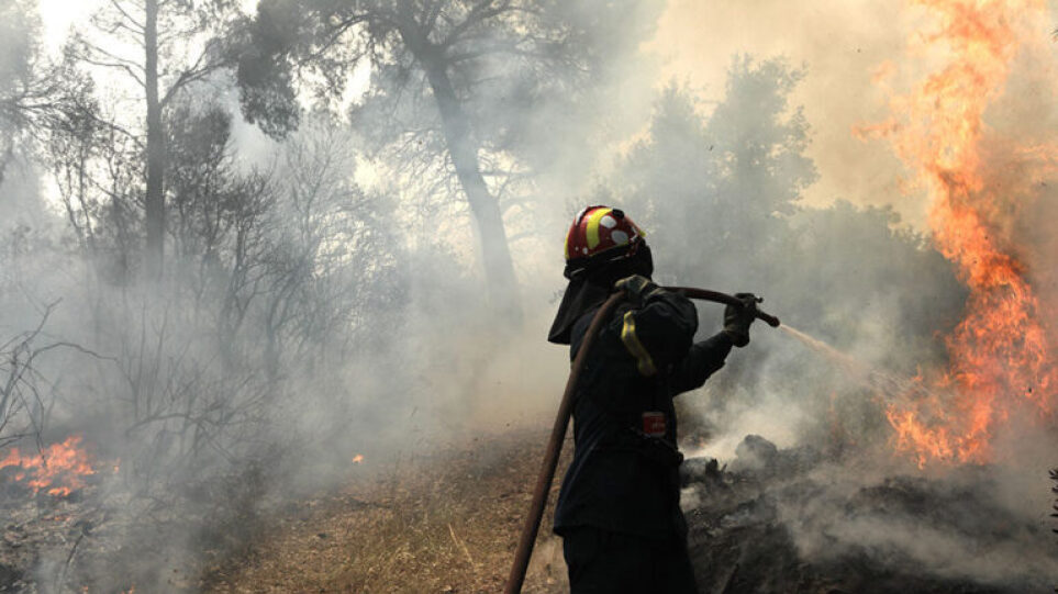 Μεγάλη φωτιά σε δύσβατη δασική περιοχή στην Κασσάνδρα Χαλκιδικής