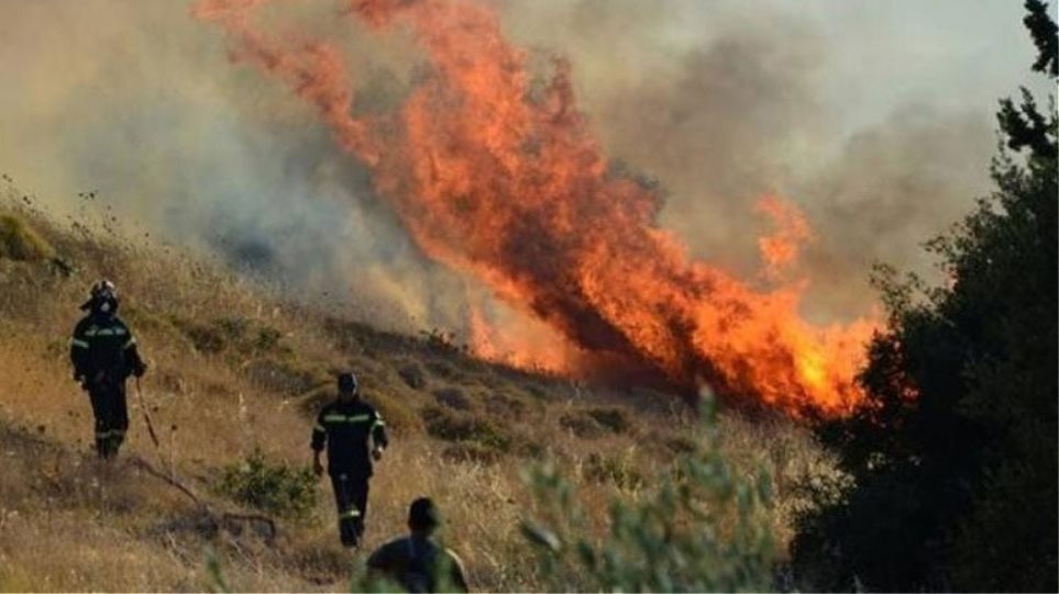 Κορινθία: Πυρκαγιά ξέσπασε σε δασική έκταση στα Αθίκια
