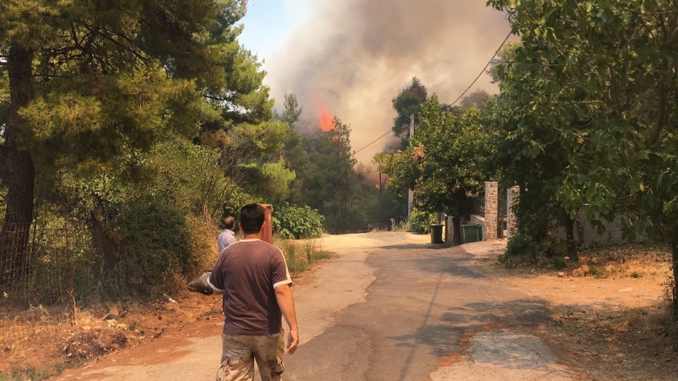 Λακωνία: Πυρκαγιά σε δασική έκταση στη Βαρβίτσα