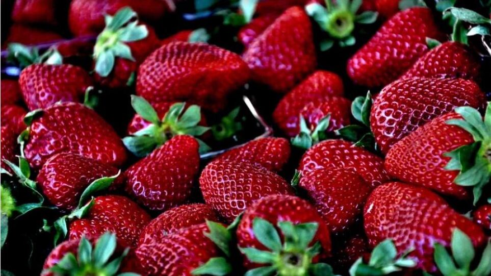 ΗΠΑ: Η FDA διερευνά πιθανή σύνδεση ανάμεσα στο ξέσπασμα ηπατίδιδας Α και σε βιολογικές φράουλες