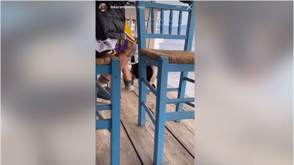 Σοκαριστικό βίντεο: Άντρας σε ψαροταβέρνα δελέασε με φαγητό γάτα και την κλώτσησε στη θάλασσα