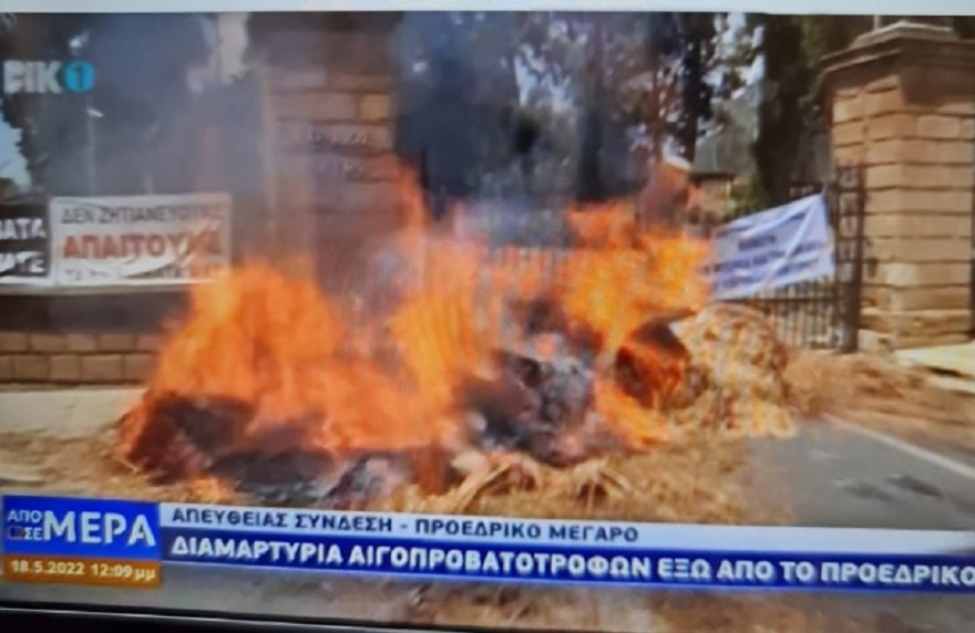 Κύπρος: Φωτιά και γάλα έξω από το Προεδρικό Μέγαρο στη Λευκωσία σε διαμαρτυρία κτηνοτρόφων