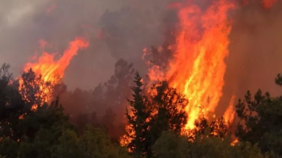 Λίβανος: Υπό έλεγχο η πυρκαγιά στο μεγαλύτερο πευκοδάσος της χώρας