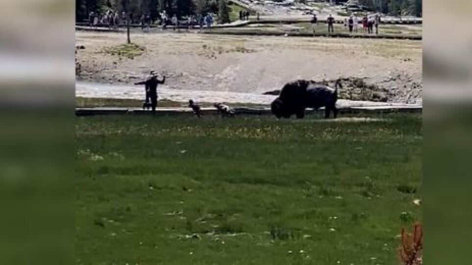 ΗΠΑ: Τρόμος για οικογένεια σε πάρκο που τους επιτέθηκε εξαγριωμένος βίσονας – Συγκλονιστικό βίντεο