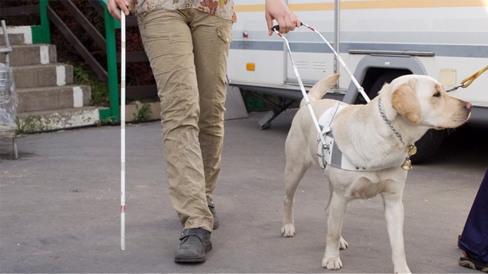 Καταδίκη ταξιτζή που αρνήθηκε να επιβιβάσει τυφλή λόγω του σκύλου-οδηγού της