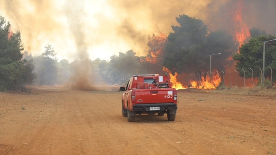 Πυρκαγιά στην περιοχή Ζελίου Φθιώτιδος – Κινητοποιήθηκαν επίγεια και εναέρια μέσα