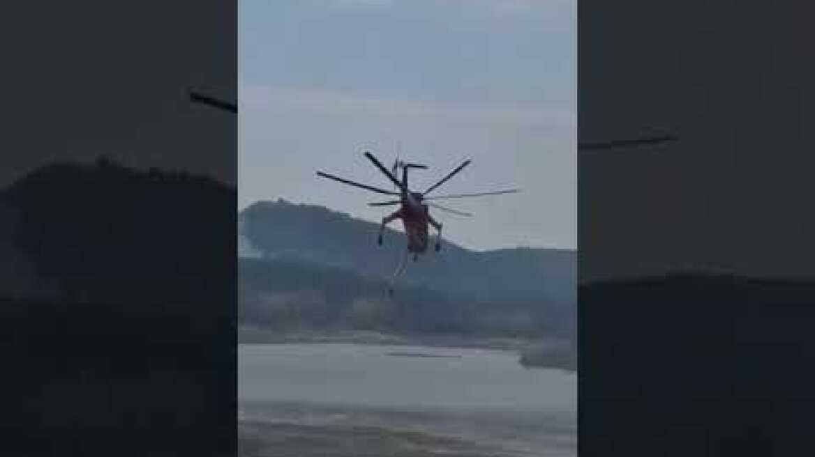 Πέντε ελικόπτερα και δύο τράκτορες επιχειρούν νοτιοδυτικά του πυροφυλακίου στη Δαδιά – Βίντεο