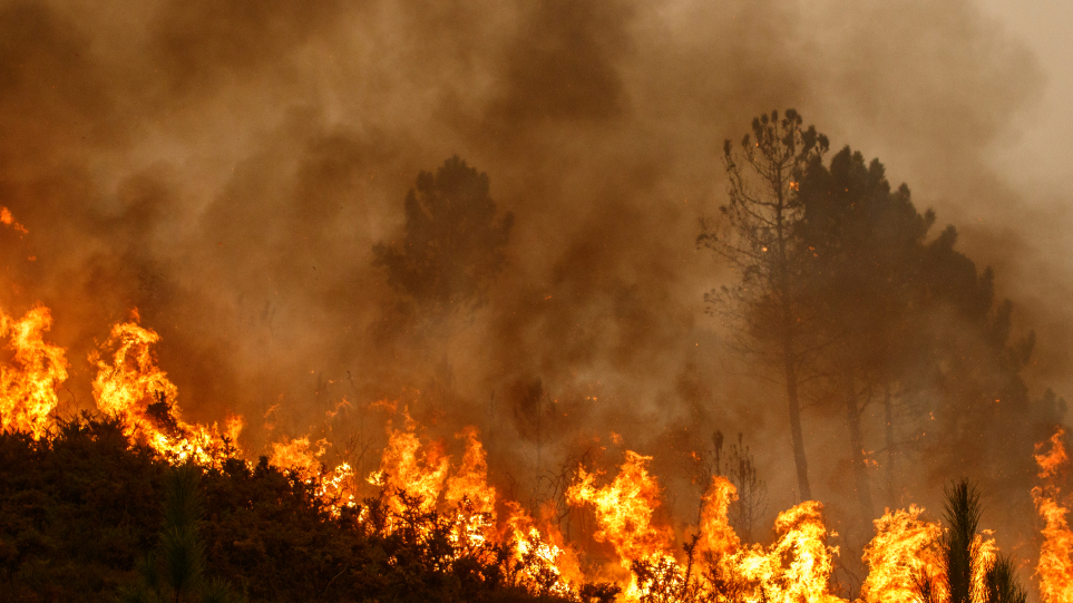 Ακραίος καύσωνας και μεγάλες πυρκαγιές σε Πορτογαλία, Ισπανία και Γαλλία
