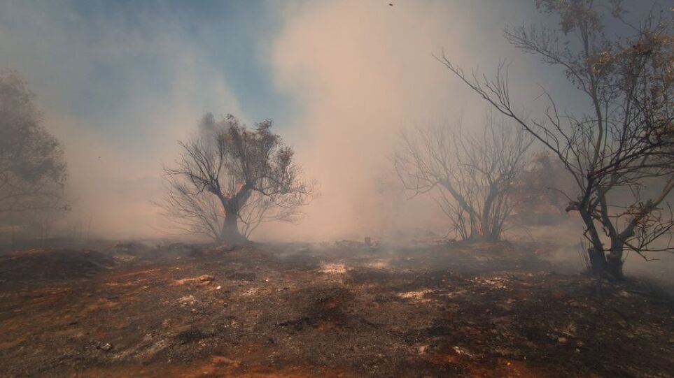 Φωτιές: 71 πυρκαγιές το τελευταίο 24ωρο σε όλη την Ελλάδα
