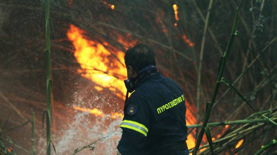 Φωτιά στον Κορυδαλλό – Σηκώθηκε ελικόπτερο