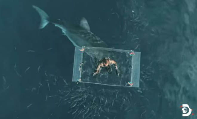 Δύτης ξεφεύγει από τα σαγόνια του λευκού καρχαρία για… εκατοστά (Βίντεο)