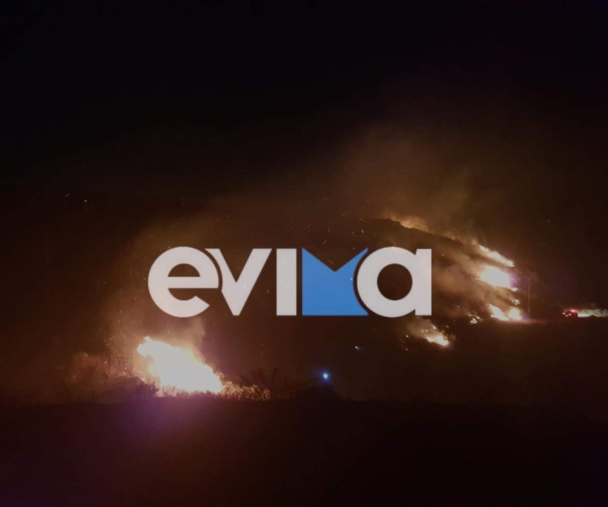 Φωτιά σε δασική έκταση στον δήμο Κύμης-Αλιβερίου