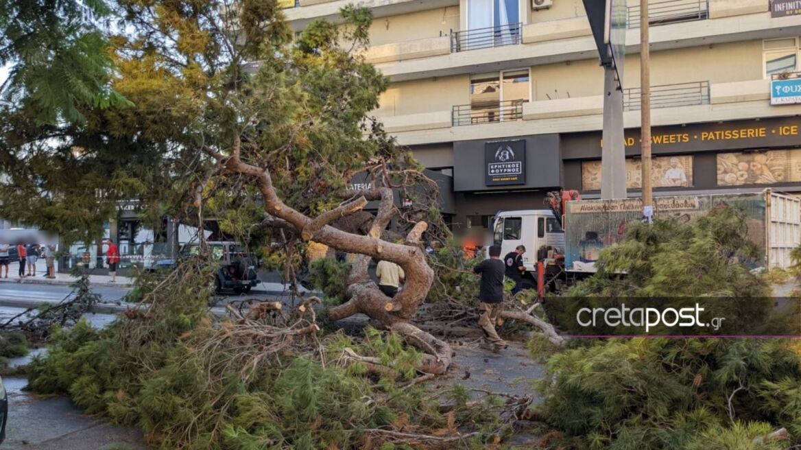 Κρήτη: «Θα κινηθούμε νομικά» λέει ο γιος του 50χρονου που καταπλακώθηκε από δέντρο