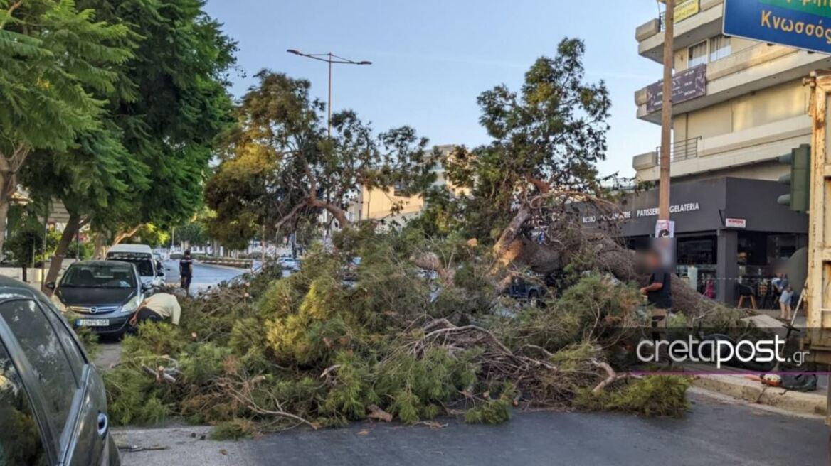 Κρήτη: Το τραγικό παιχνίδι της μοίρας για τον 50χρονο που καταπλακώθηκε από δέντρο