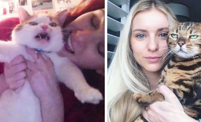 20 γάτες που απλά δεν έχουν καθόλου χρόνο για τις selfies σου
