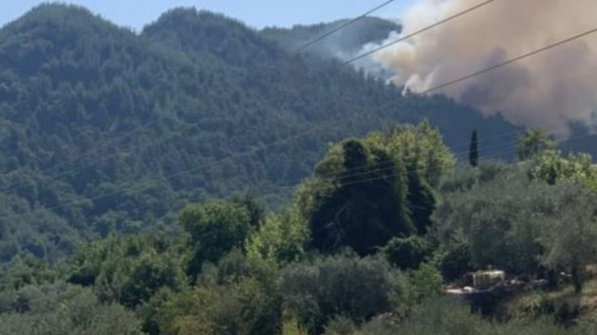 Αστεροσκοπείο Αθηνών: Η πυρκαγιά στη Θάσο έκαψε 2.770 στρέμματα – Το 84% ήταν δάσος