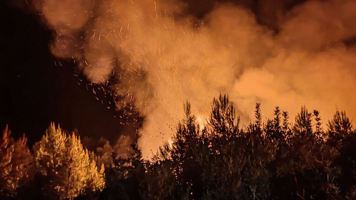 Ηλεία: Μεγάλη πυρκαγιά στην Αμαλιάδα