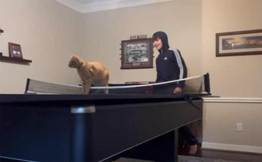 Η γάτα που ίσως παίζει καλύτερο πινγκ – πονγκ από εσένα