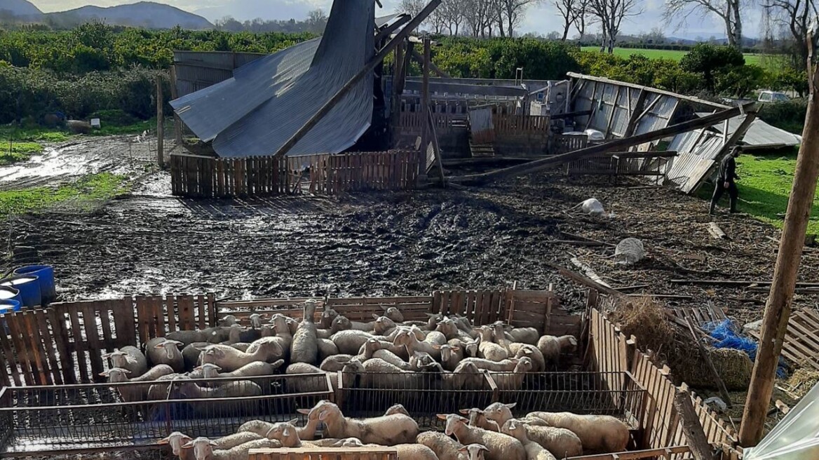 Κακοκαιρία: Ζημιές 30.000 ευρώ από ανεμοστρόβιλο σε κτηνοτροφική μονάδα στο Νεοχώρι Μεσολογγίου